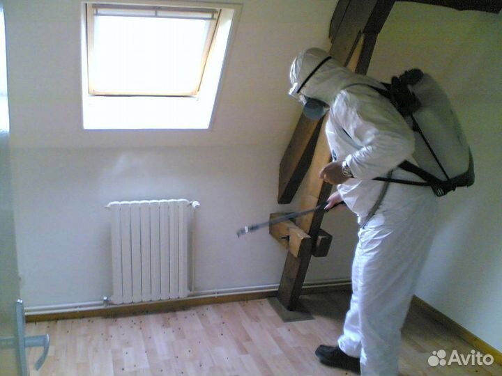 Консультация по уничтожению тараканов Миша Титов i-1082