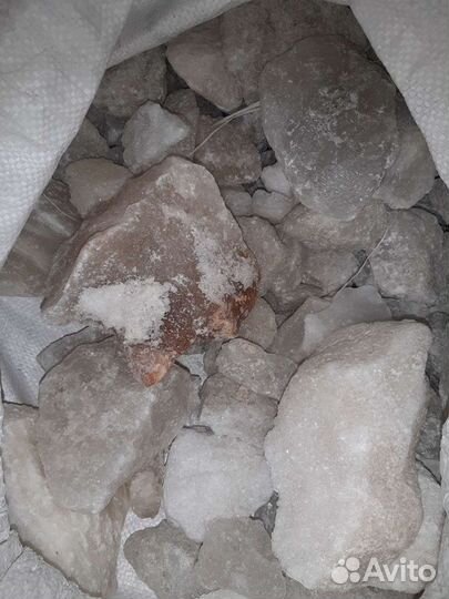 Соль лизунец