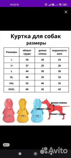 Отдаю шлейку и дождевик для собаки