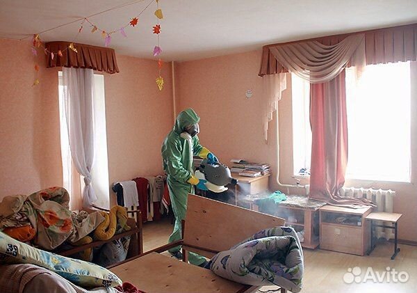 Дезинфекция уничтожение клопов тараканов блох