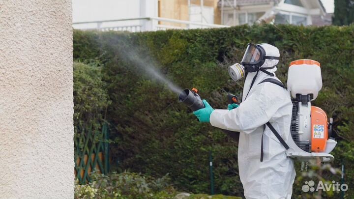 Дезинфекция от насекомых