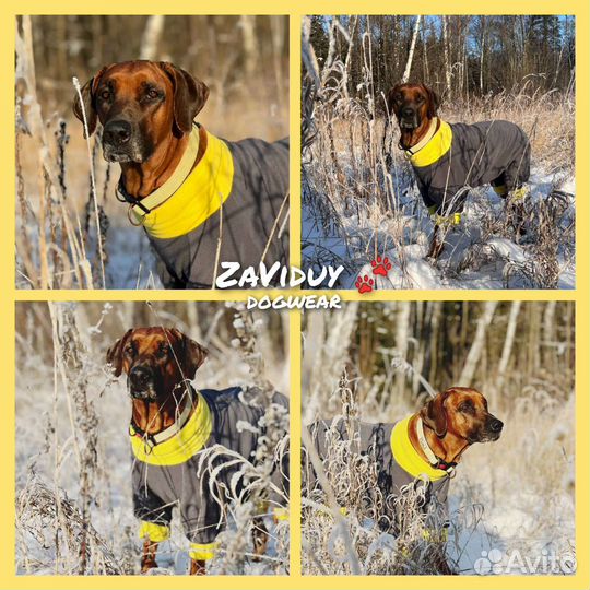 Одежда (попона) для собак крупных пород