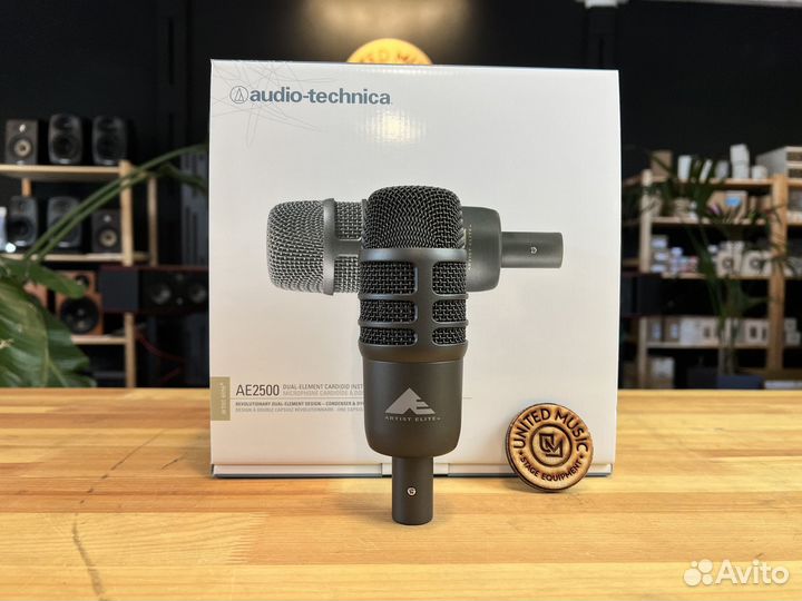 Audio-Technica AE2500