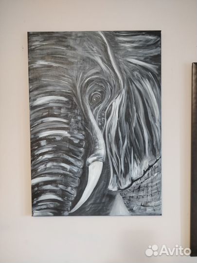 Картина слон 