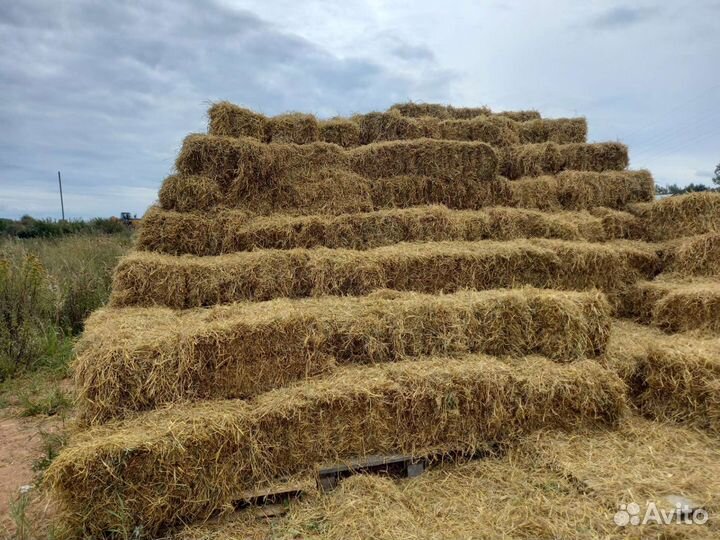 Солома. Сено. Корма. Зерно