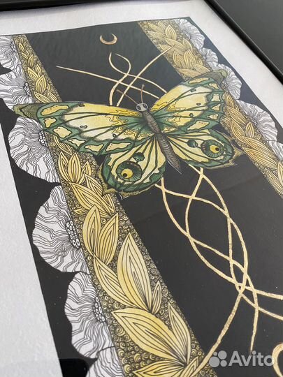 Бабочка, тушь/акварель (с рамой)