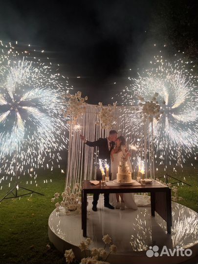 Организатор/Ведущий мероприятий. Свадьба