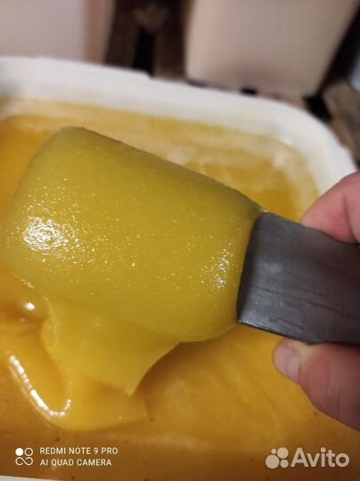 Мед подсолнуха оптом