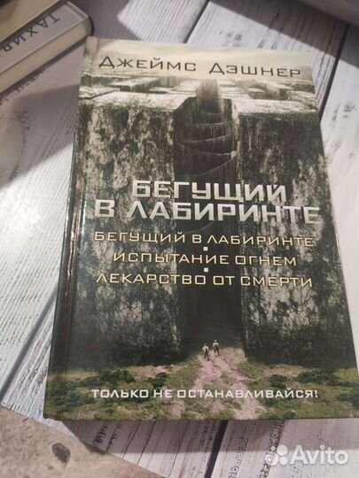 Джеймс Дэшнер. Бегущий в лабиринте