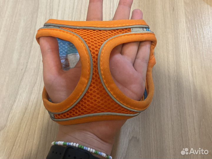 Шлейка для маленькой собаки