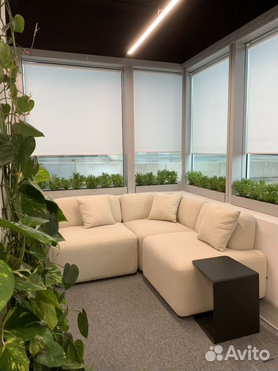 Большие растения для озеленения