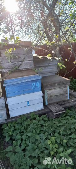 Продам 12 рамочные улья для пчел