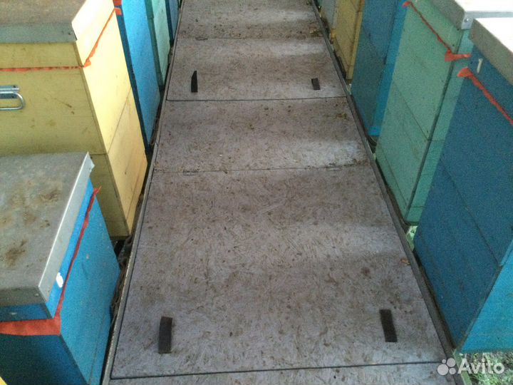 Пчелоприцеп