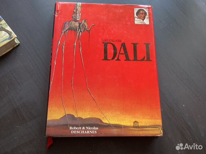 Книга Salvador Dali