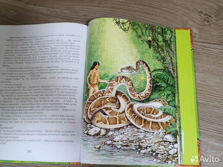 Книги Маугли, Робинзон