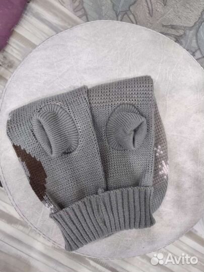 Одежда для животных