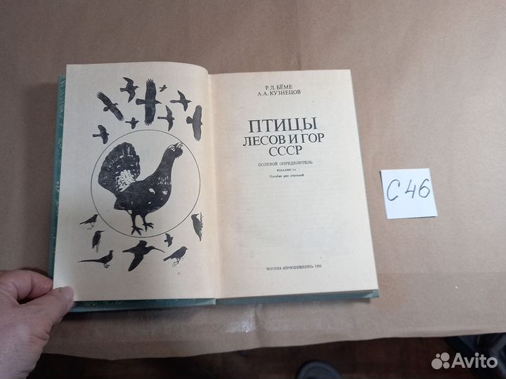 Птицы лесов и гор СССР. Полевой определитель Кузне