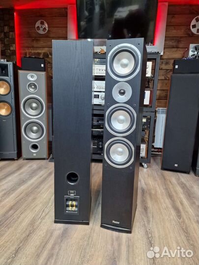 Колонки Magnat Quantum 557
