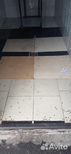 Уничтожение тараканов клопов комаров