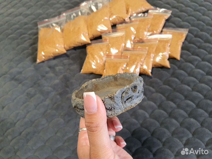 Мадагаскарский таракан