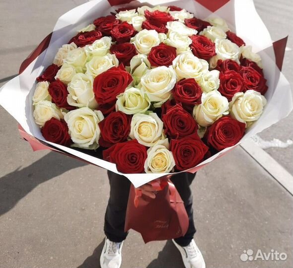 101 роза 51 роза Цветы