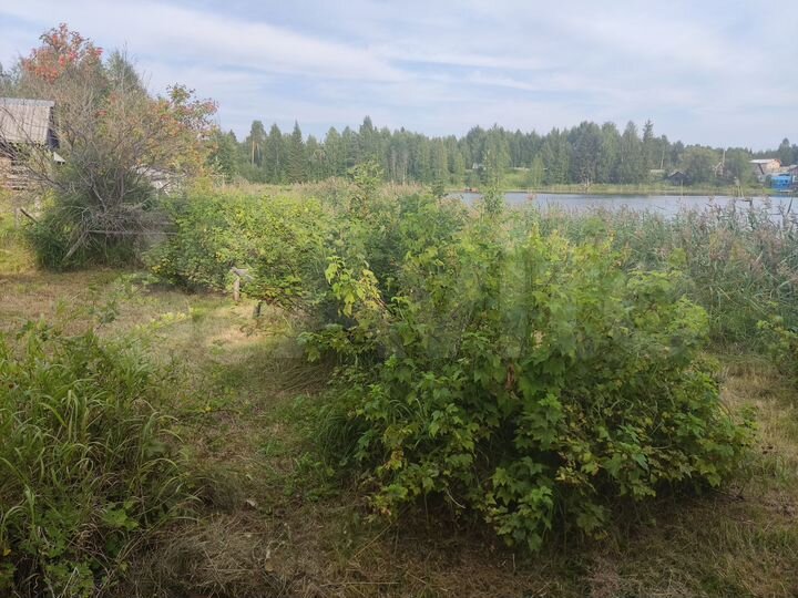 Дача 20 м² на участке 7 га