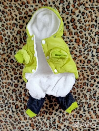 Одежда для собак (мини той терьер)