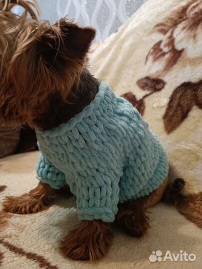 Свитер для собак