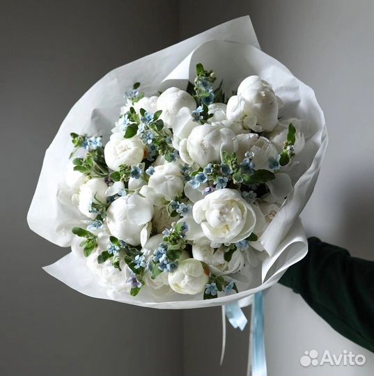 Пионы Букет из Пионов Пион Цветы