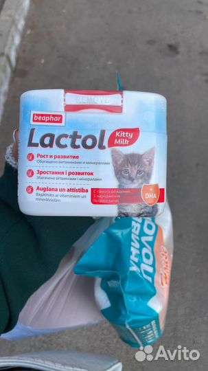 Смесь для выкармливания котят