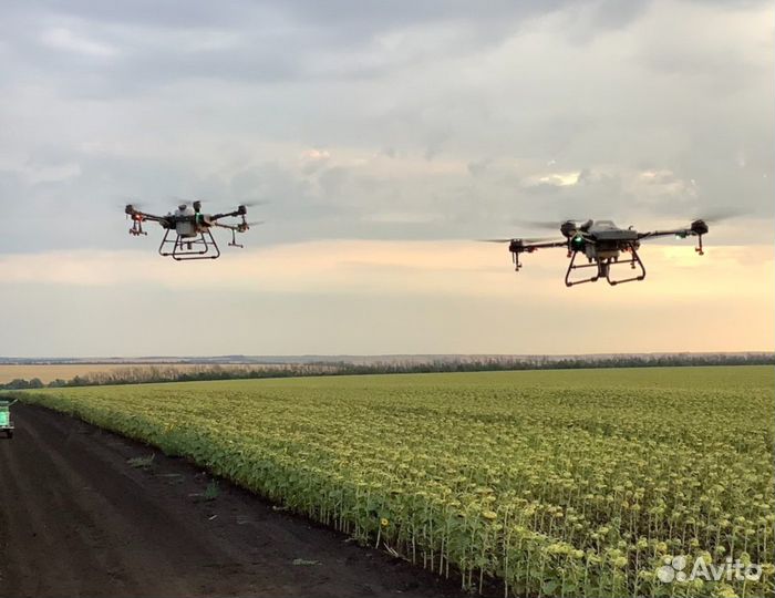 Обработка (опрыскивание) полей агродронами (бпла)
