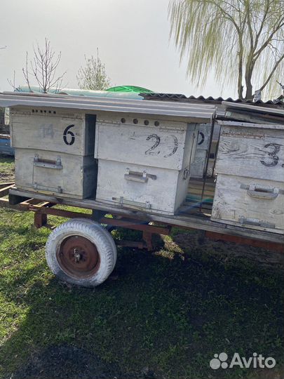 Продам ульи для пчел