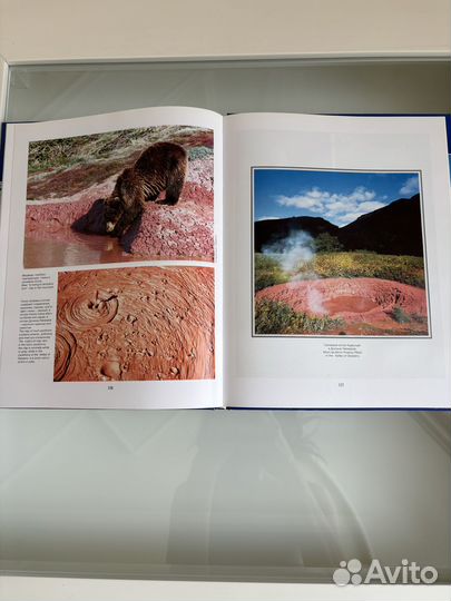 Книга Чудеса Земли Камчатки