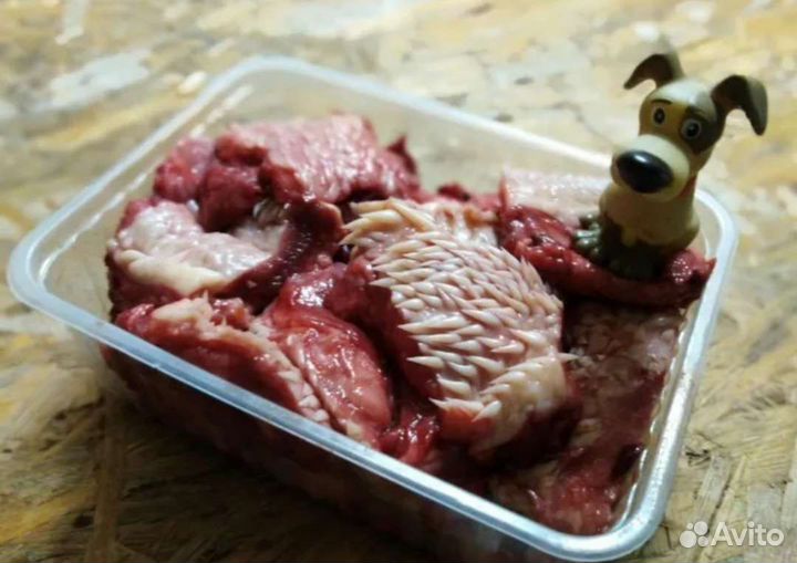 Щеки говяжьи, Корм, мясо для собак, кошек