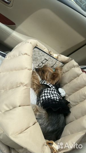 Сумка переноска новая