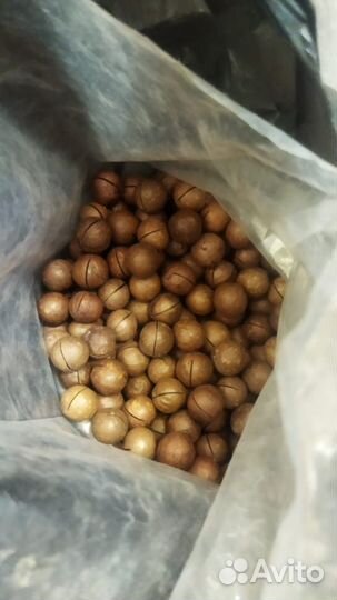 Макадамия орех