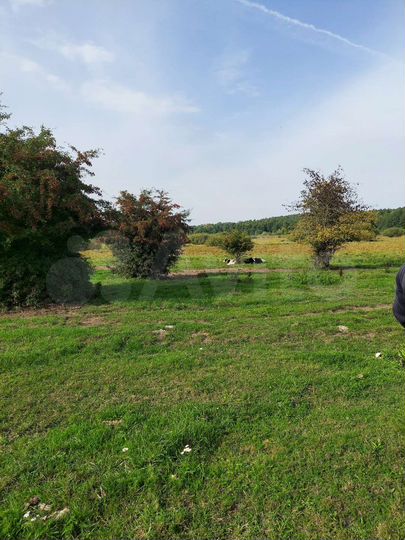 Участок 8,3 га (СНТ, ДНП)