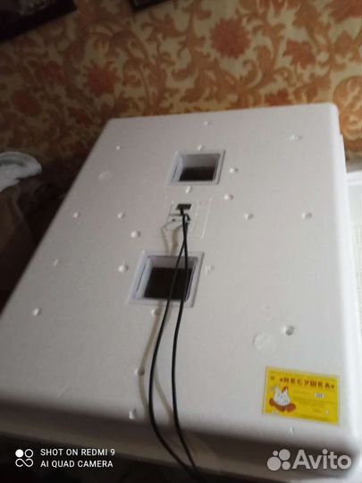 Инкубатор для яиц