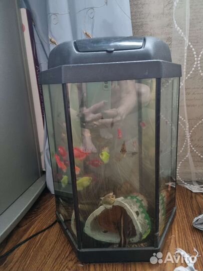 Аквариум jebo 362