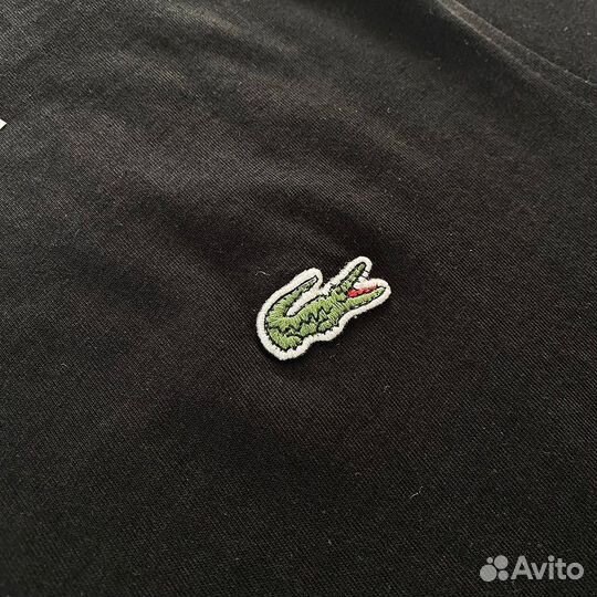 Футболка мужская Lacoste