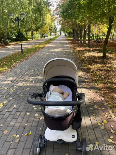 Коляска Mima xari 2 в 1 оригинал