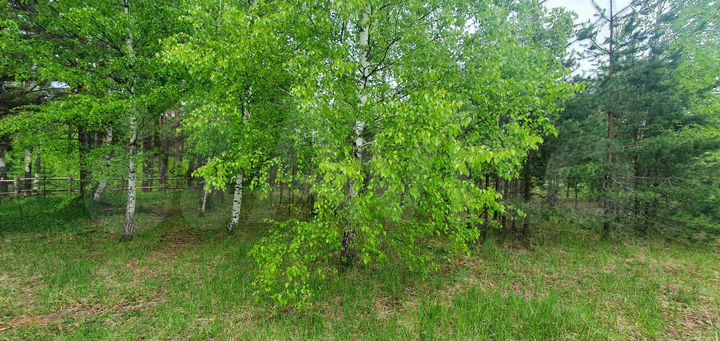 Дом 60,2 м² на участке 15 сот.