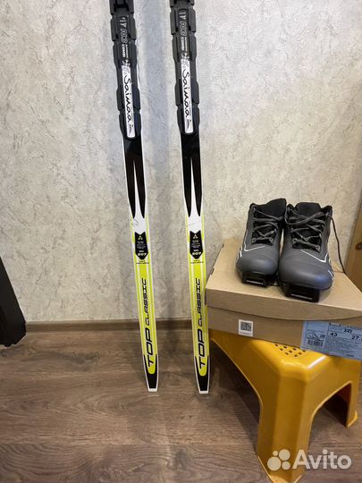 Беговые лыжи