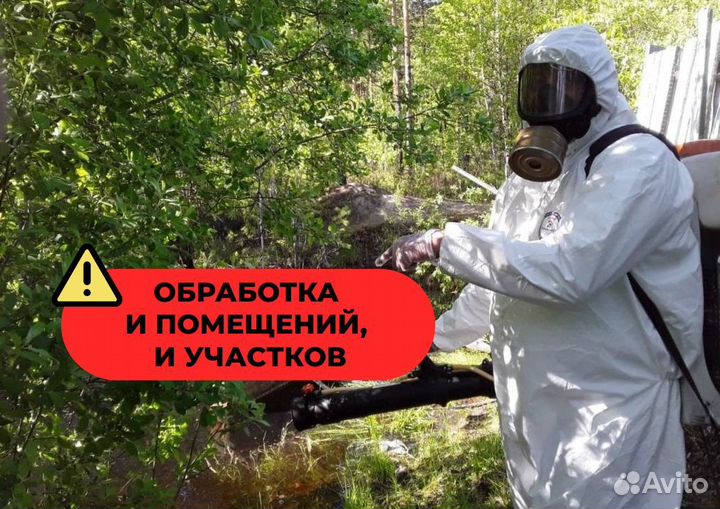 Дезинфекция Уничтожение тараканов клопов насекомых