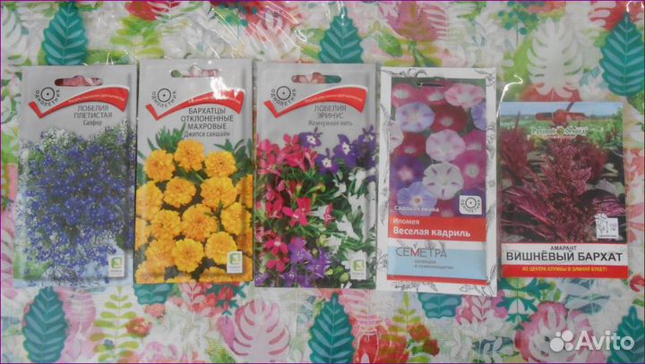 Семена. Все за 1оо p