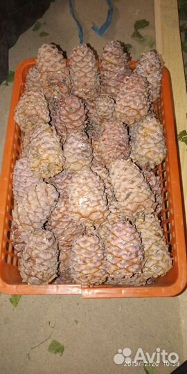 Орех кедровый отличного качества, веники для бани