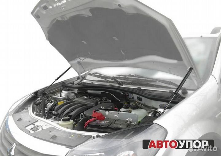 Газовые Упоры Капота Renault Sandero 2010-14