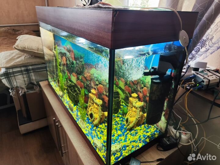 Аквариум