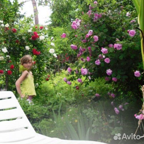 Отдых на море п.Головинка