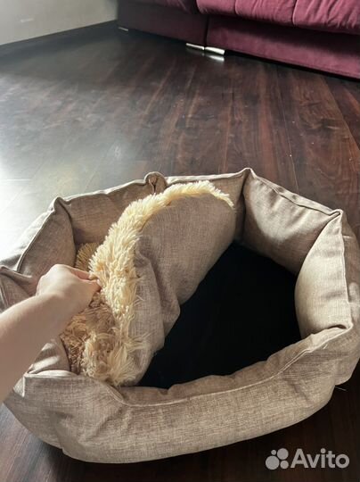 Лежанка для собак